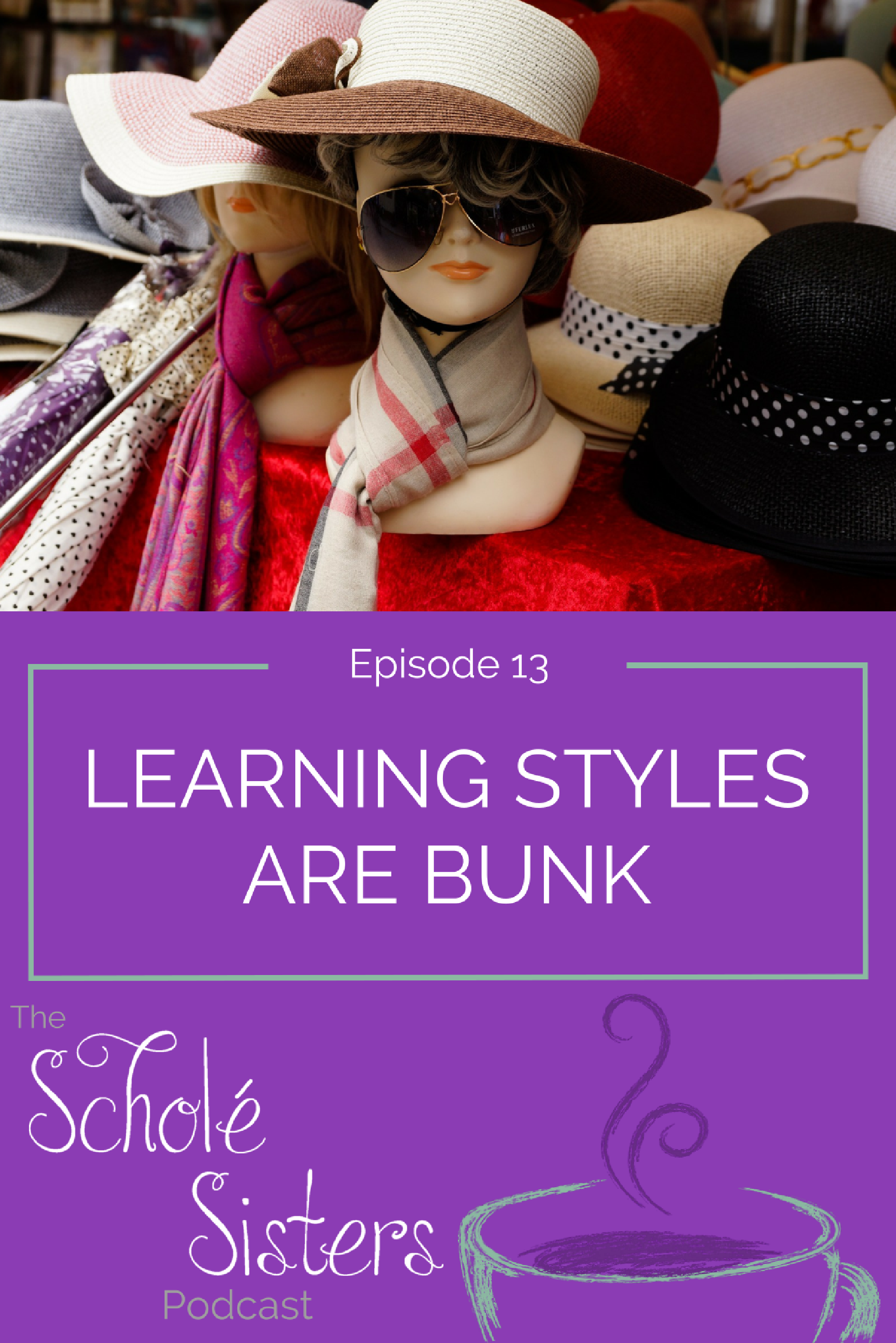 Pam and Brandy discuss learning styles and that there is no scientific evidence whatsoever to back them up. (Pam is trying to get us into trouble.)