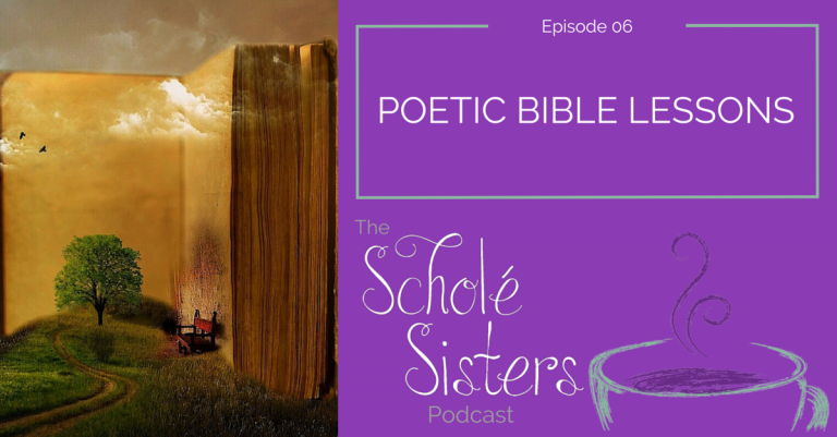 SS #06: Poetic Bible Lessons (with Art Middlekauff)