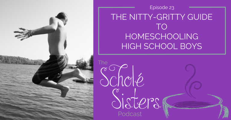 SS #23: The Nitty-Gritty Guide to Homeschooling High School Boys (with Cindy Rollins)
